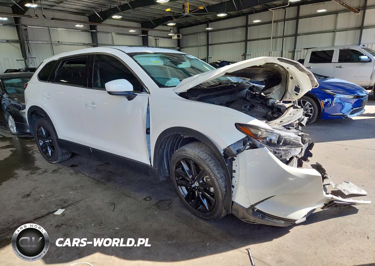 2023 Mazda Cx-9 Touring Plus VIN:JM3TCBAY3P0643335 - 4