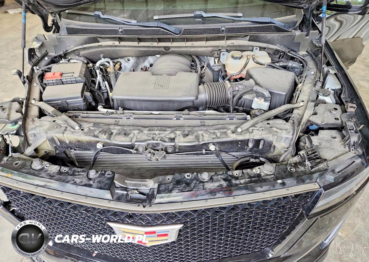 2023 Cadillac Escalade Sport VIN:1GYS4FKL6PR311357 - 12