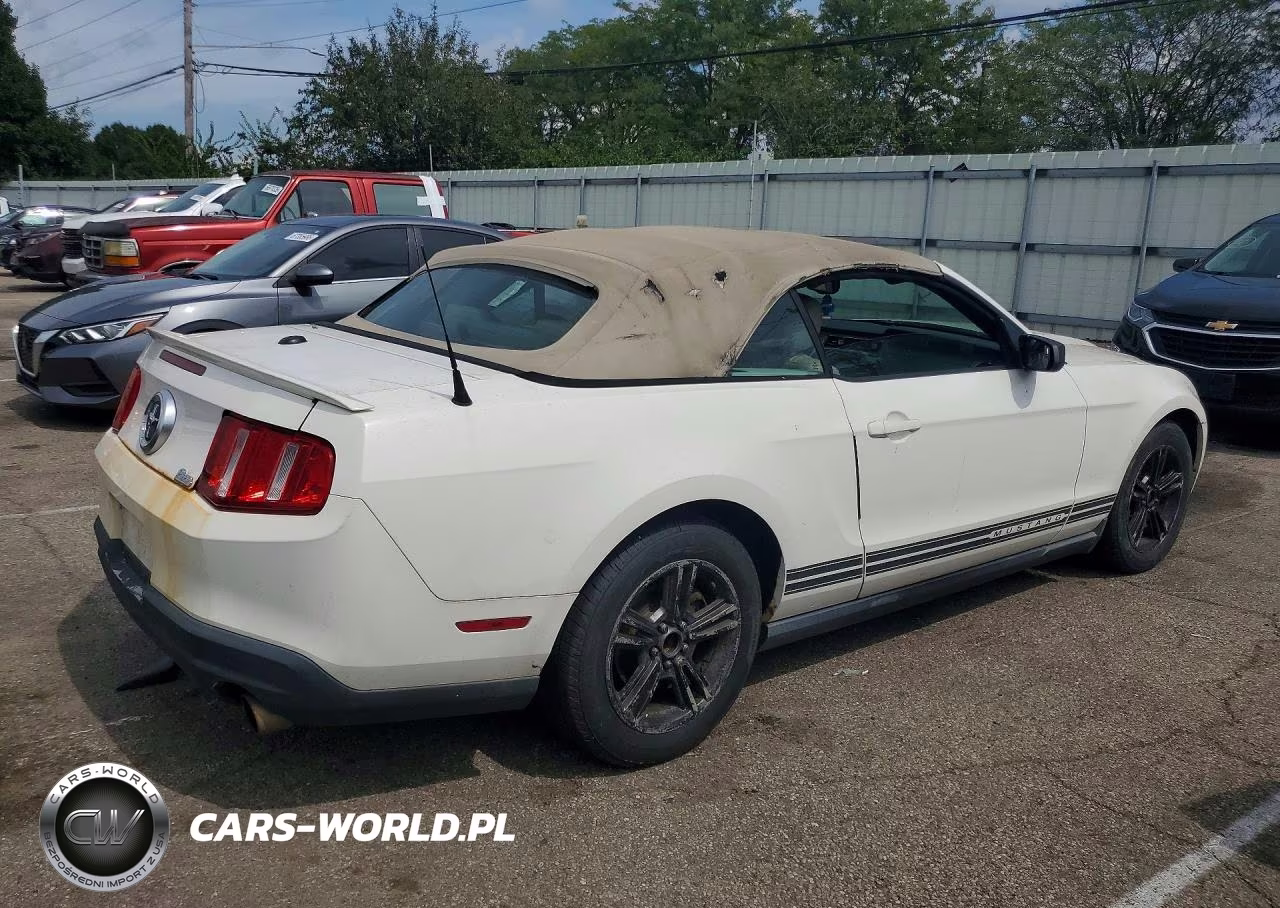 2010 Ford Mustang VIN:1ZVBP8EN9A5171709 - 3