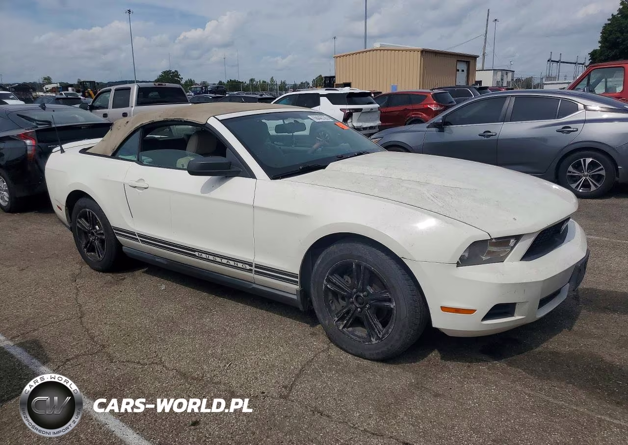 2010 Ford Mustang VIN:1ZVBP8EN9A5171709 - 4