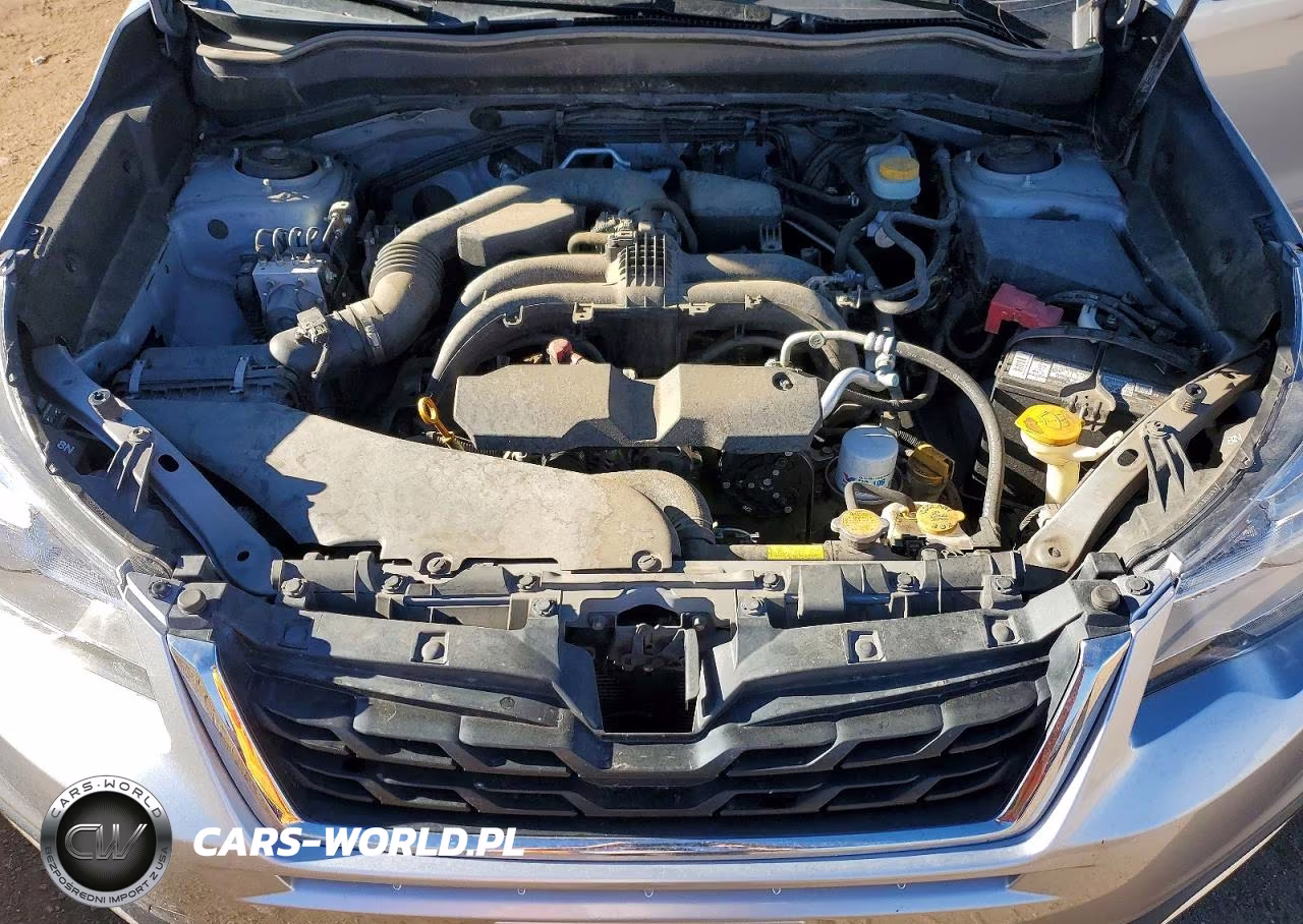 2018 Subaru Forester 2.5I Premium VIN:JF2SJAEC8JG585192 - 12