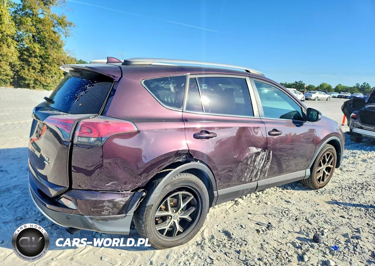 2016 Toyota Rav4 Se VIN:2T3JFREV1GW415975 - 3
