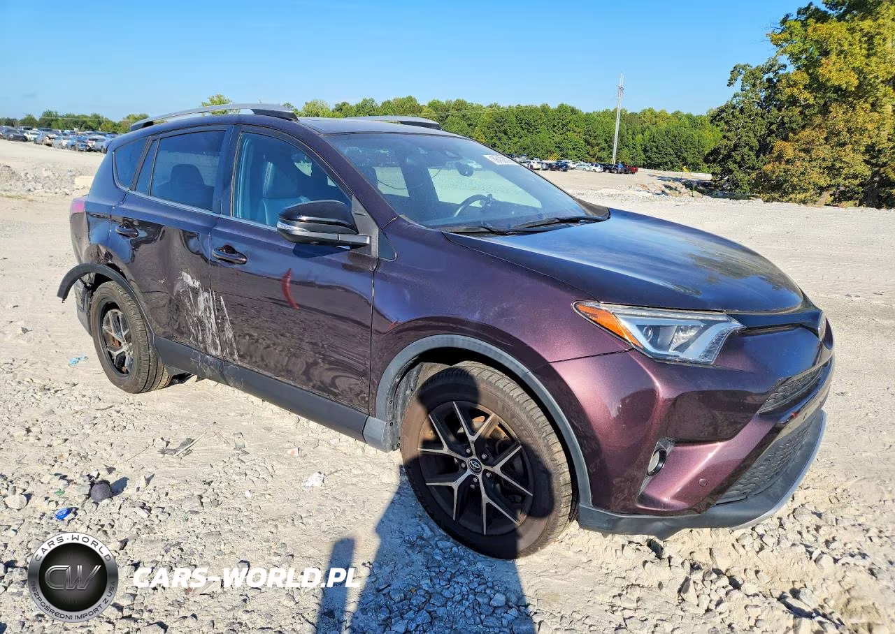 2016 Toyota Rav4 Se VIN:2T3JFREV1GW415975 - 4