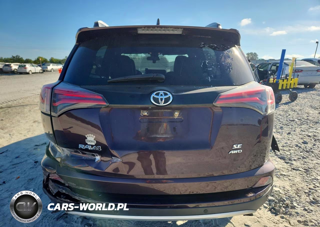 2016 Toyota Rav4 Se VIN:2T3JFREV1GW415975 - 6