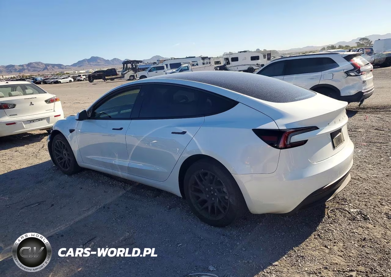 2025 Tesla Model 3 VIN:5YJ3E1EA6SF026483 - 2