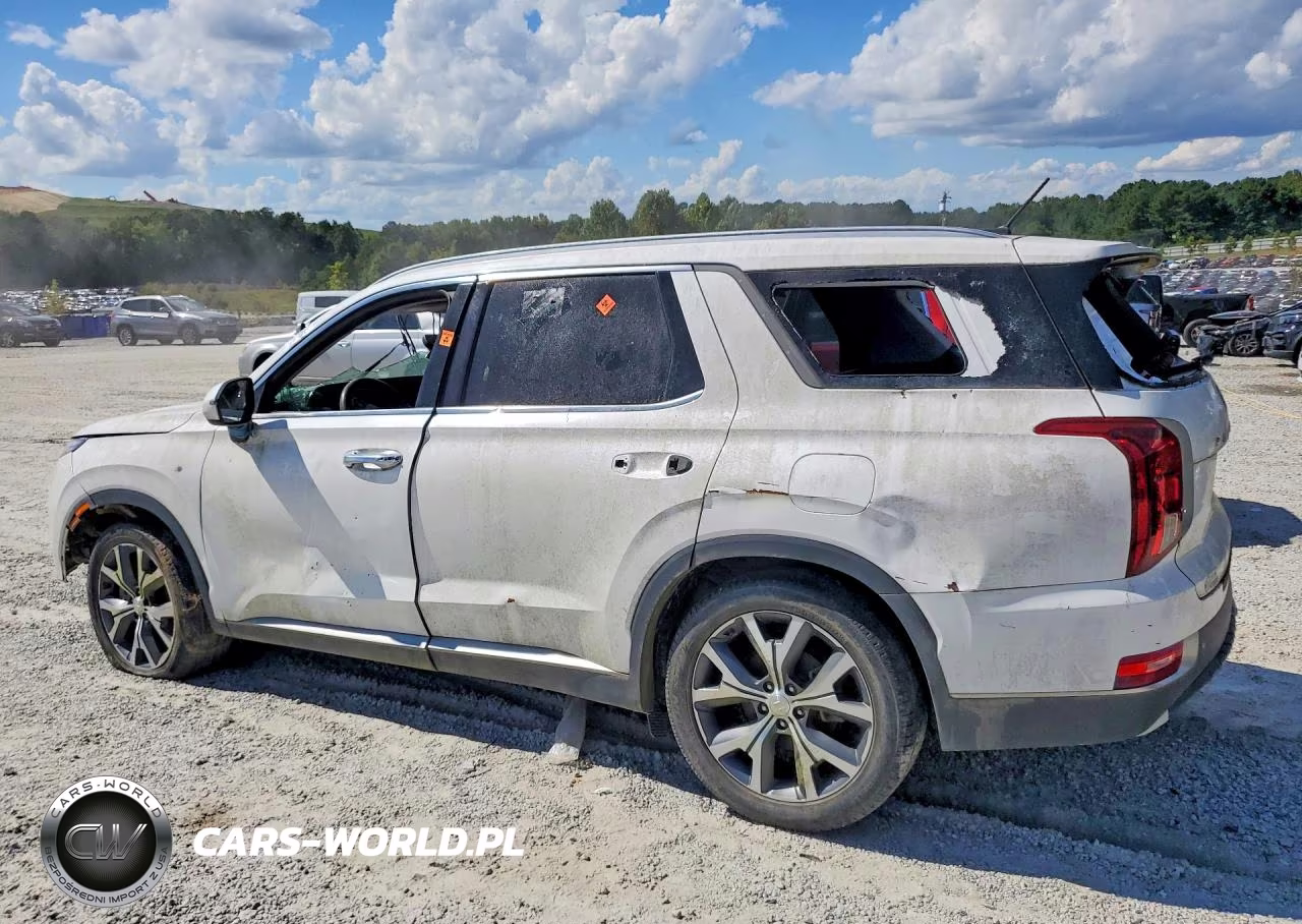 2021 Hyundai Palisade Sel VIN:KM8R34HE5MU301671 - 2