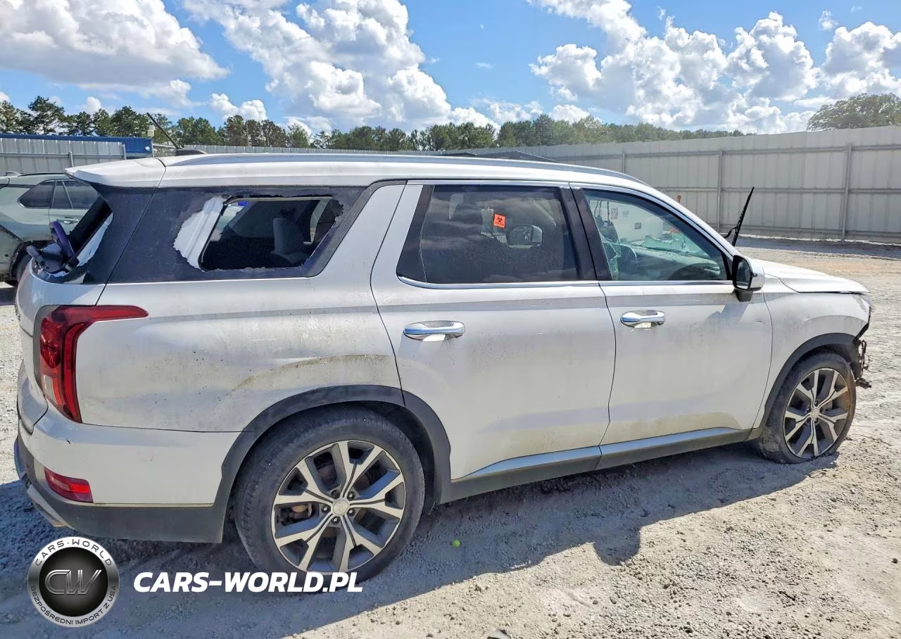 2021 Hyundai Palisade Sel VIN:KM8R34HE5MU301671 - 3