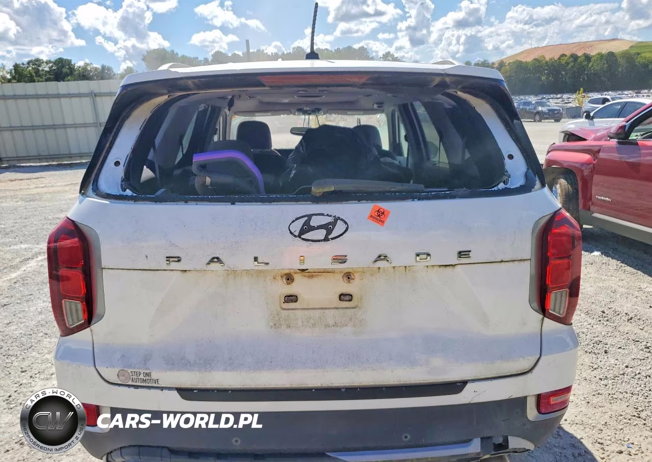 2021 Hyundai Palisade Sel VIN:KM8R34HE5MU301671 - 6