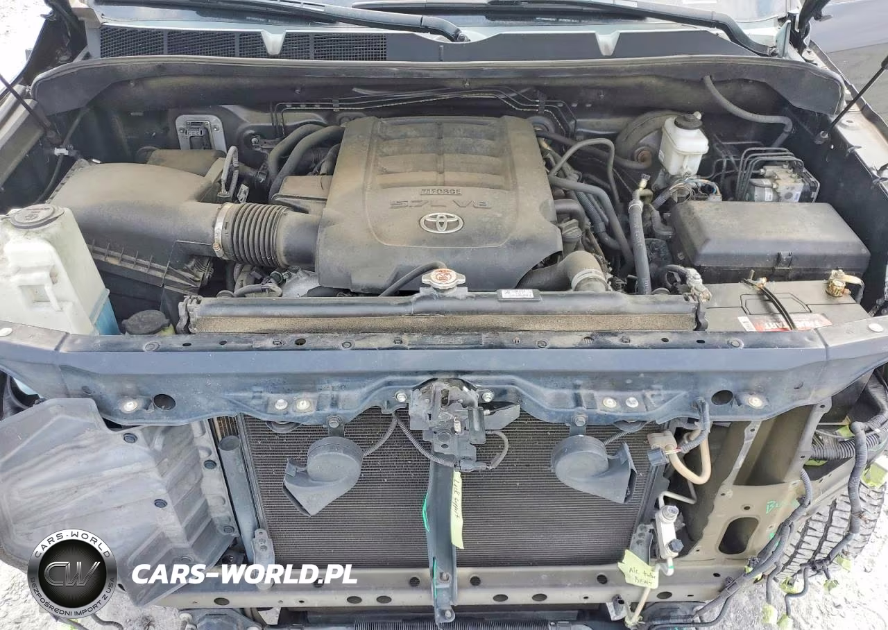 2019 Toyota Tundra 1794 Edition VIN:5TFAY5F1XKX856555 - 11