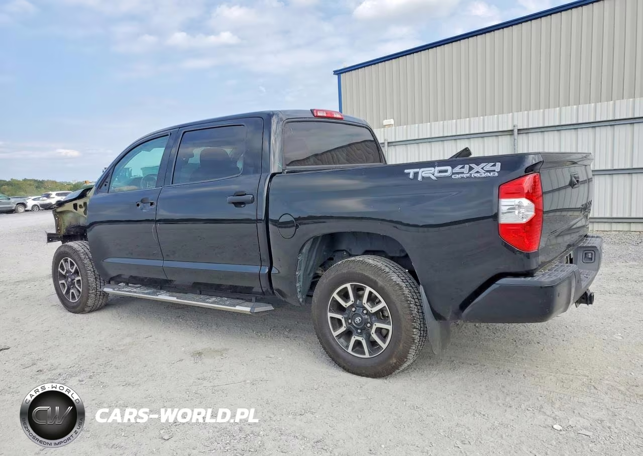 2019 Toyota Tundra 1794 Edition VIN:5TFAY5F1XKX856555 - 2