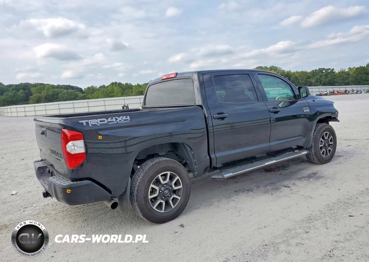 2019 Toyota Tundra 1794 Edition VIN:5TFAY5F1XKX856555 - 3