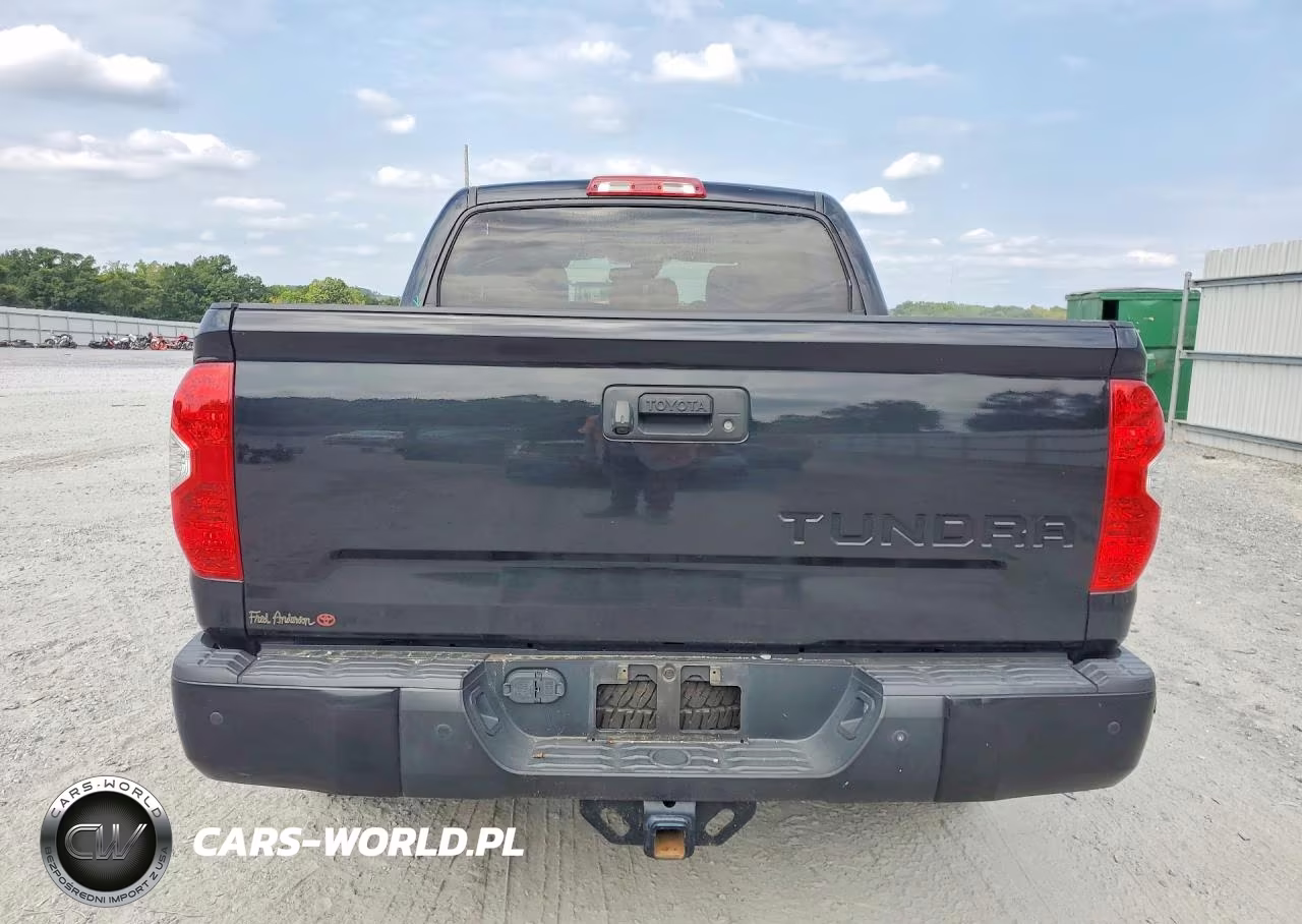 2019 Toyota Tundra 1794 Edition VIN:5TFAY5F1XKX856555 - 6