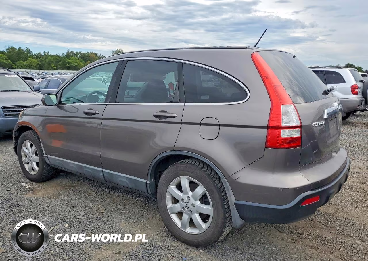 2009 Honda Cr-V Exl VIN:5J6RE48709L055667 - 2