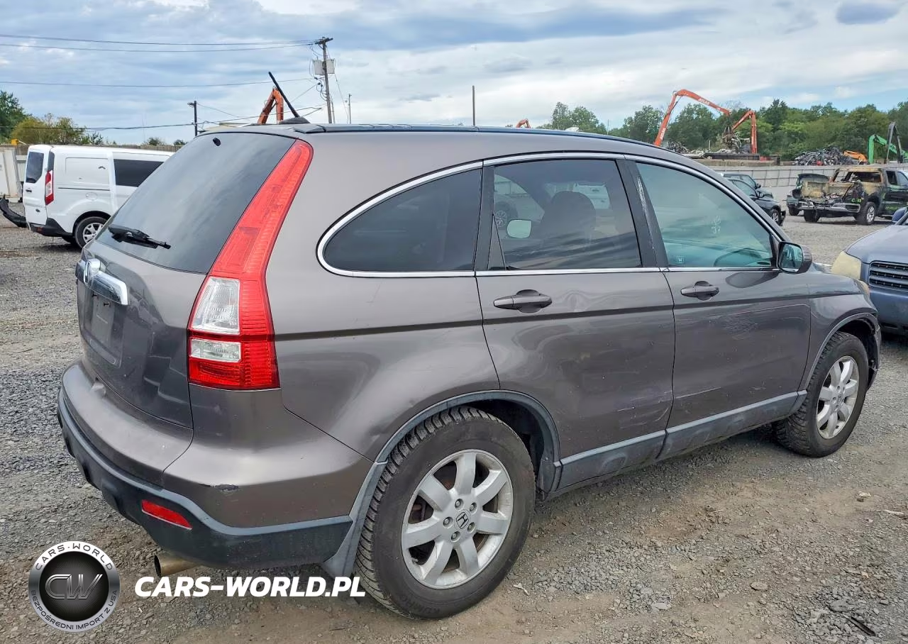 2009 Honda Cr-V Exl VIN:5J6RE48709L055667 - 3