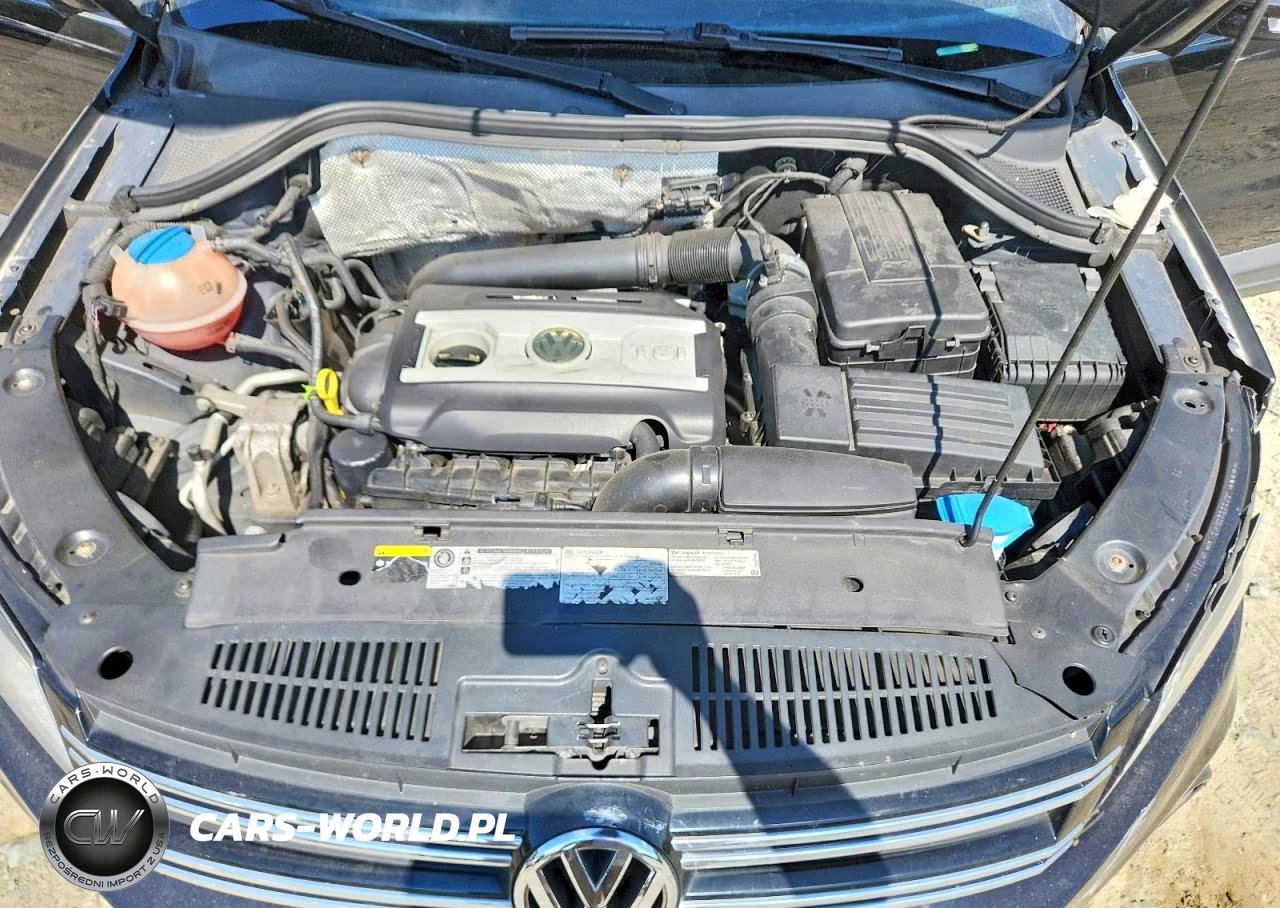 2015 Volkswagen Tiguan S VIN:WVGAV7AX5FW575450 - 12