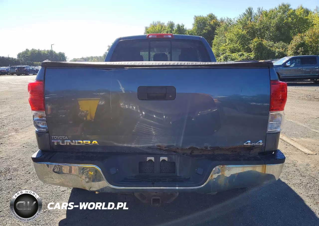 2010 Toyota Tundra Double Cab Sr5 VIN:5TFUY5F17AX120281 - 6