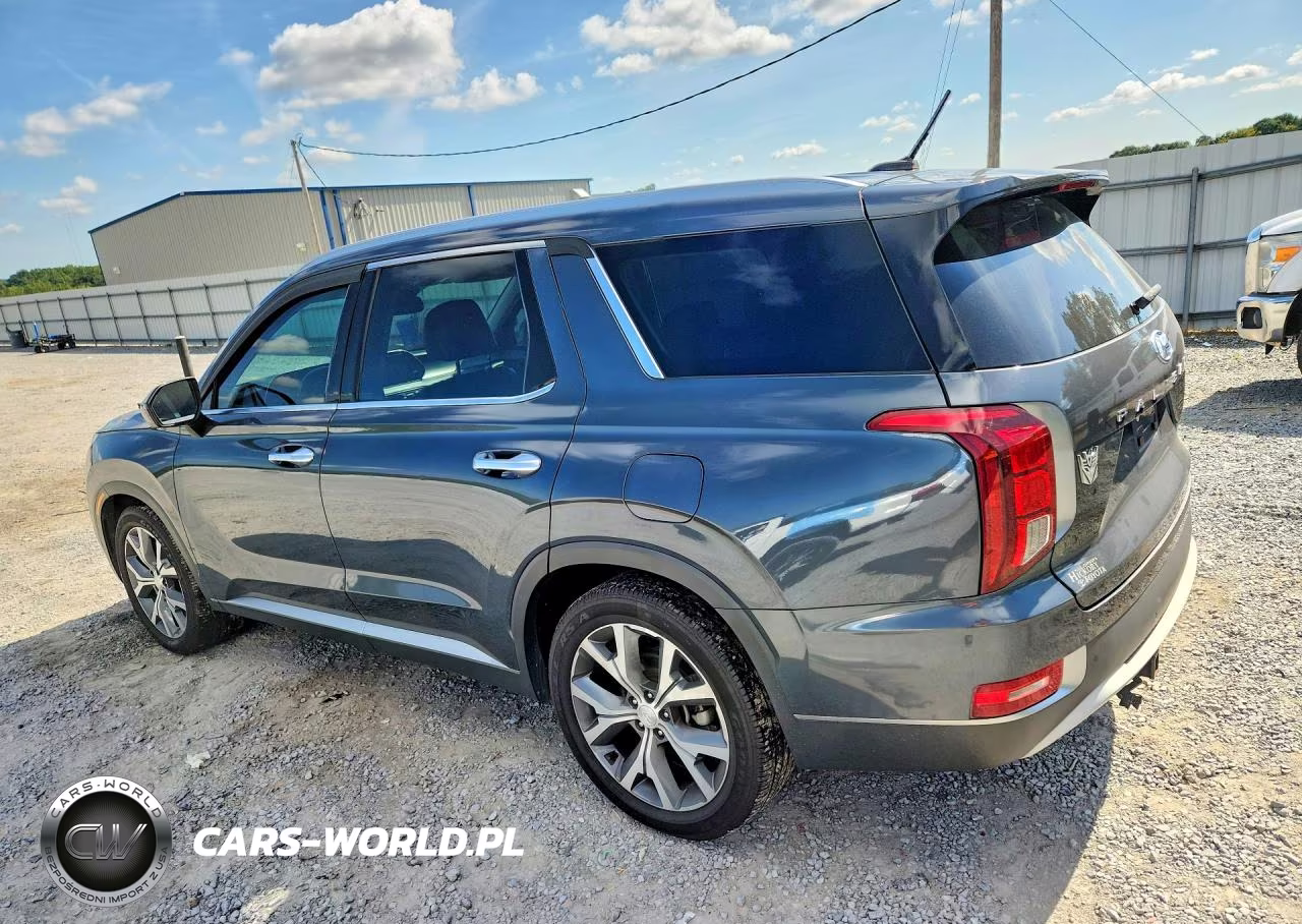 2020 Hyundai Palisade Sel VIN:KM8R3DHE0LU154674 - 2