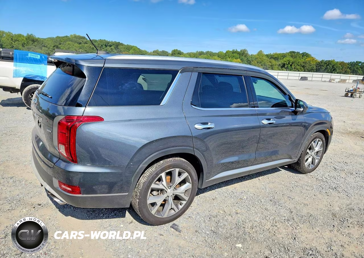 2020 Hyundai Palisade Sel VIN:KM8R3DHE0LU154674 - 3