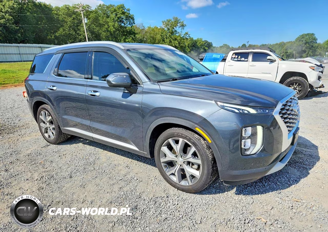 2020 Hyundai Palisade Sel VIN:KM8R3DHE0LU154674 - 4