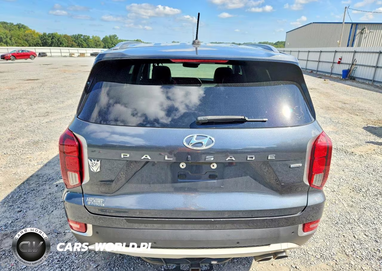 2020 Hyundai Palisade Sel VIN:KM8R3DHE0LU154674 - 6