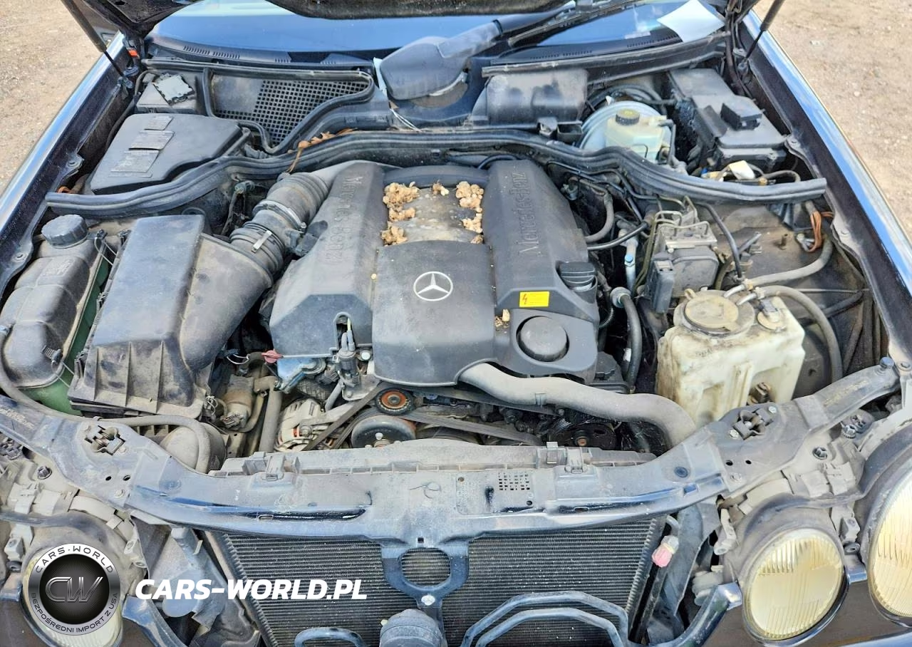 2001 Mercedes-Benz E 320 VIN:WDBJF65J91B206039 - 11
