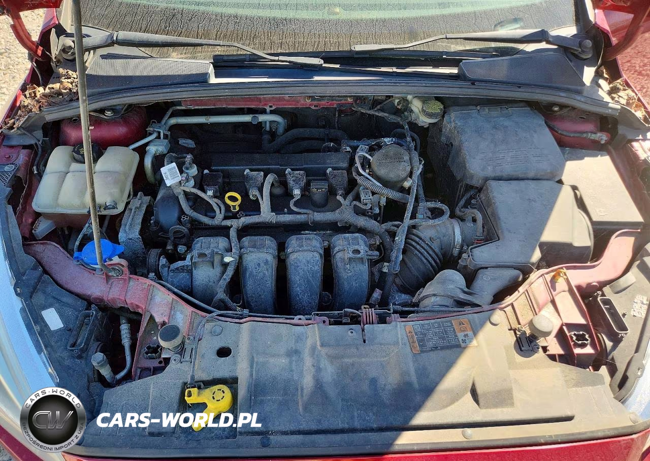 2016 Ford Focus Se VIN:1FADP3K22GL211809 - 11