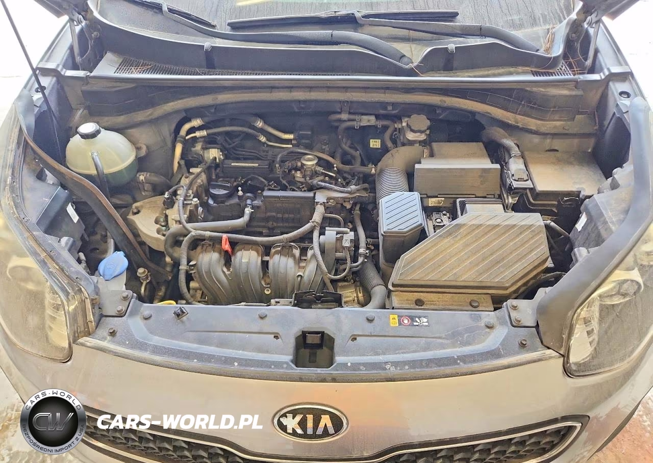 2019 Kia Sportage Lx VIN:KNDPM3AC7K7625941 - 12