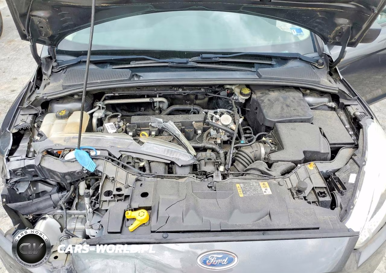2016 Ford Focus S VIN:1FADP3E29GL358978 - 11