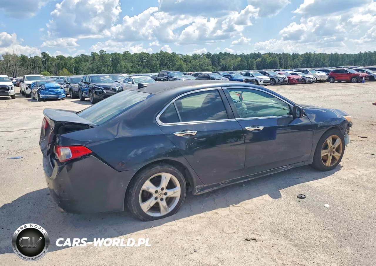 2010 Acura Tsx VIN:JH4CU2F60AC031756 - 3