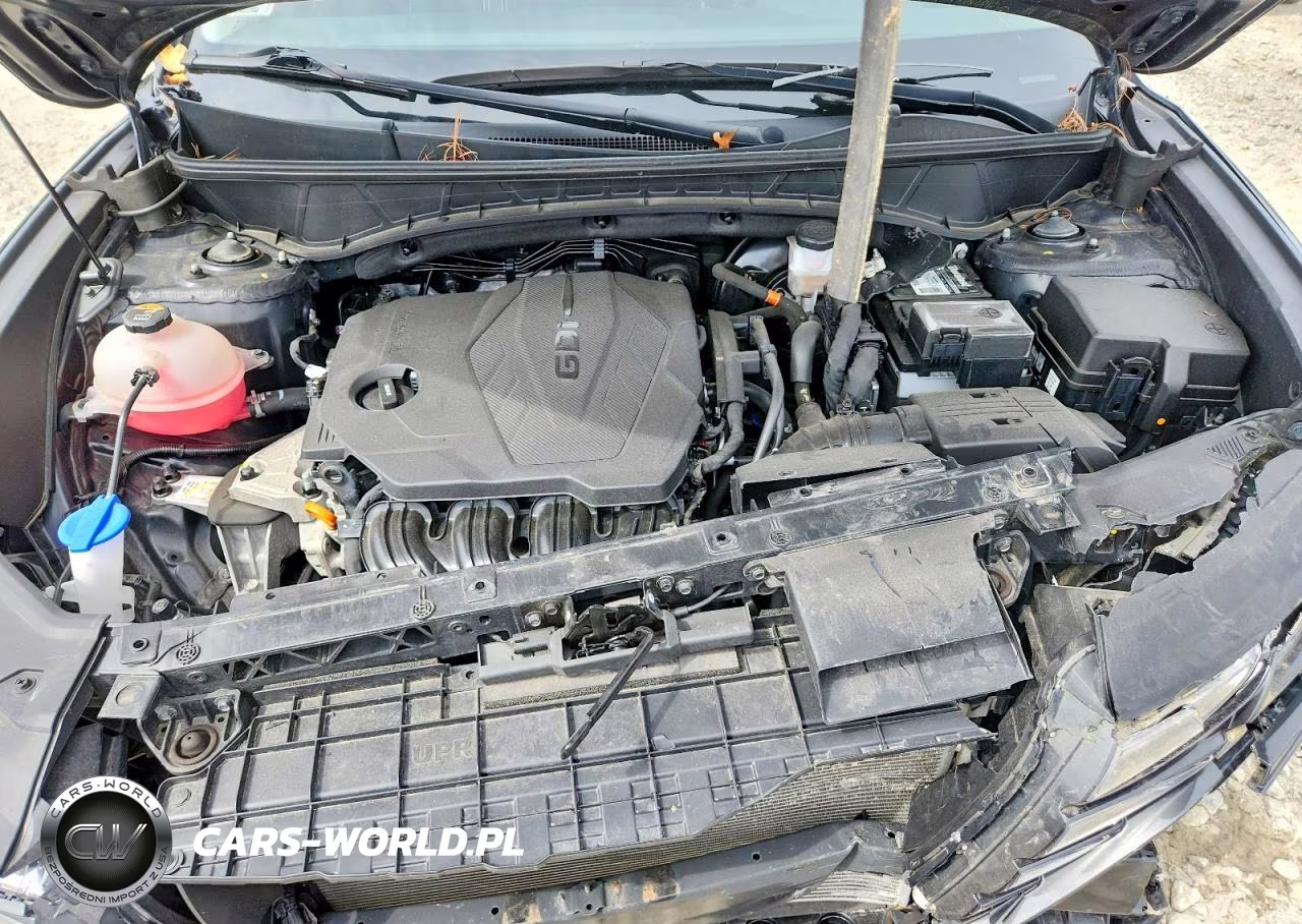 2024 Hyundai Tucson Sel VIN:5NMJBCDE7RH306048 - 12