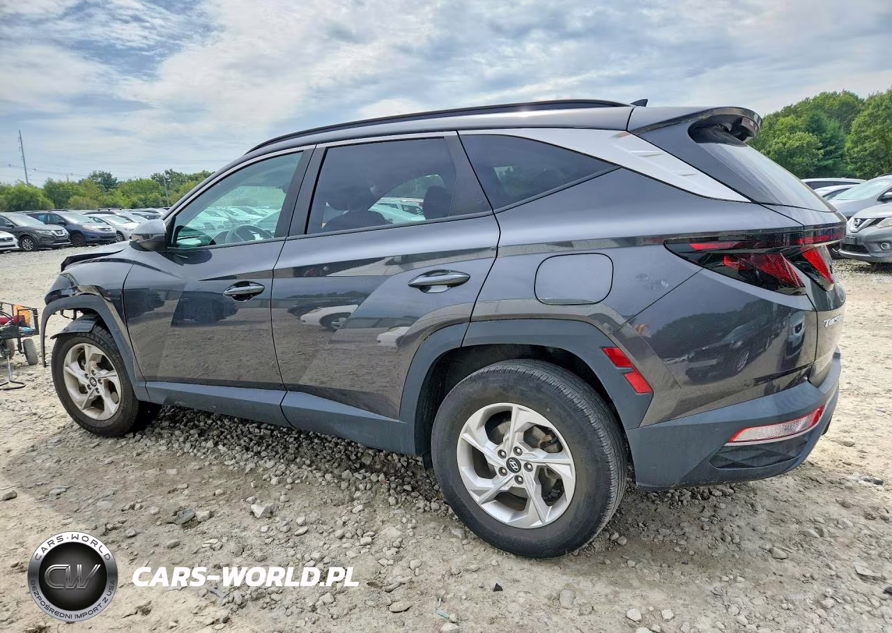 2024 Hyundai Tucson Sel VIN:5NMJBCDE7RH306048 - 2