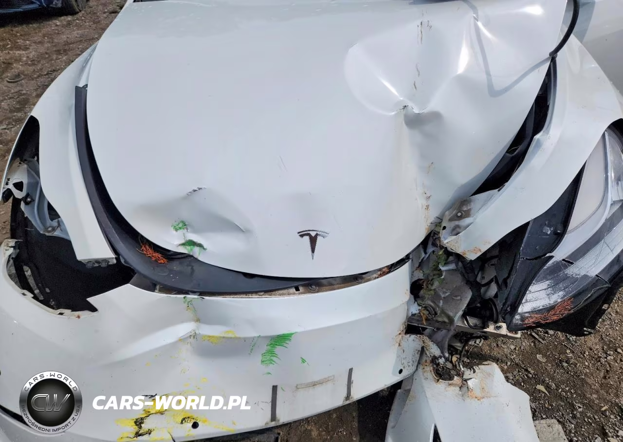 2021 Tesla Model Y VIN:5YJYGDEE8MF125684 - 12