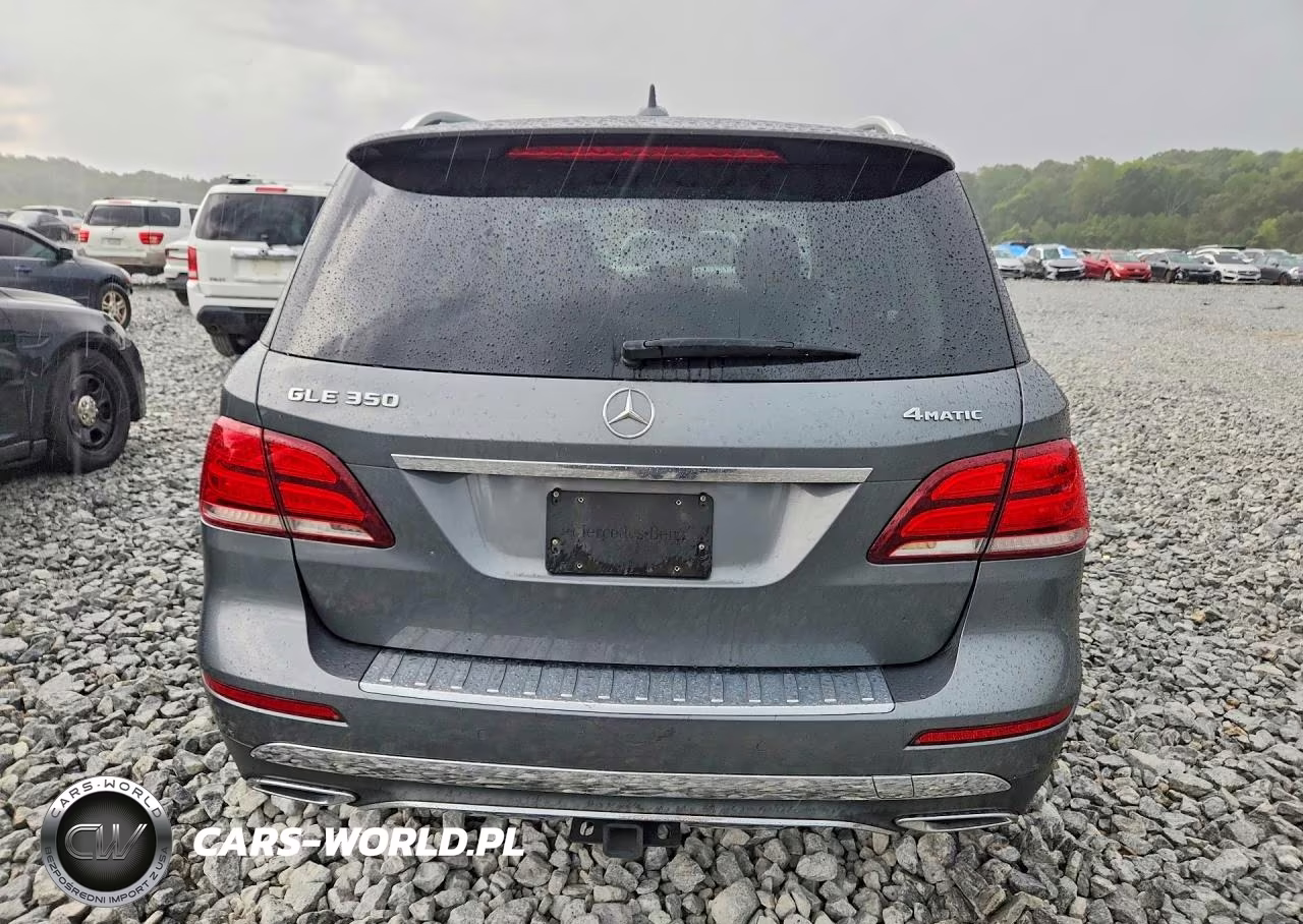 2017 Mercedes-Benz Gle 350 4Matic VIN:4JGDA5HB0HA905759 - 6