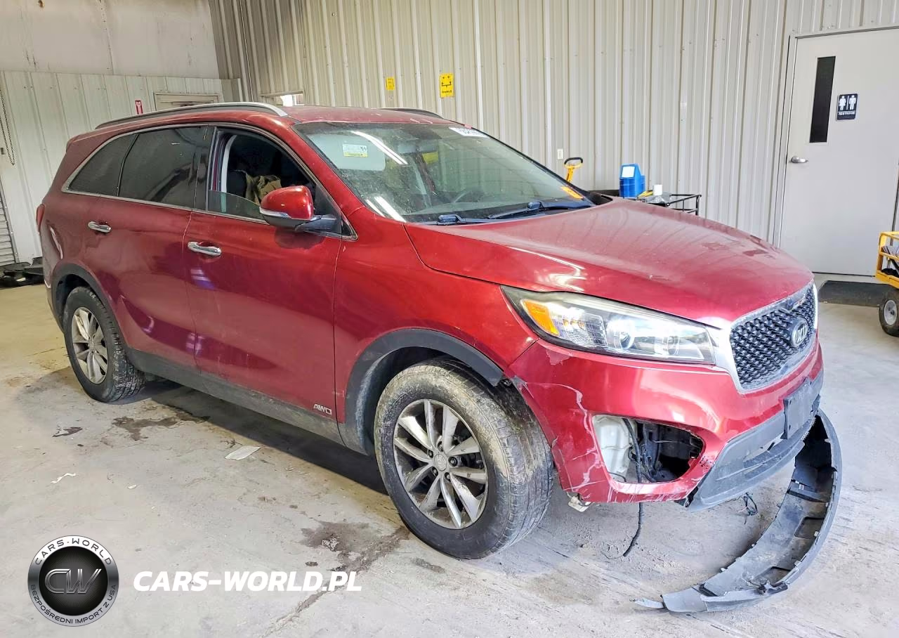 2016 Kia Sorento Lx VIN:5XYPGDA38GG025811 - 4