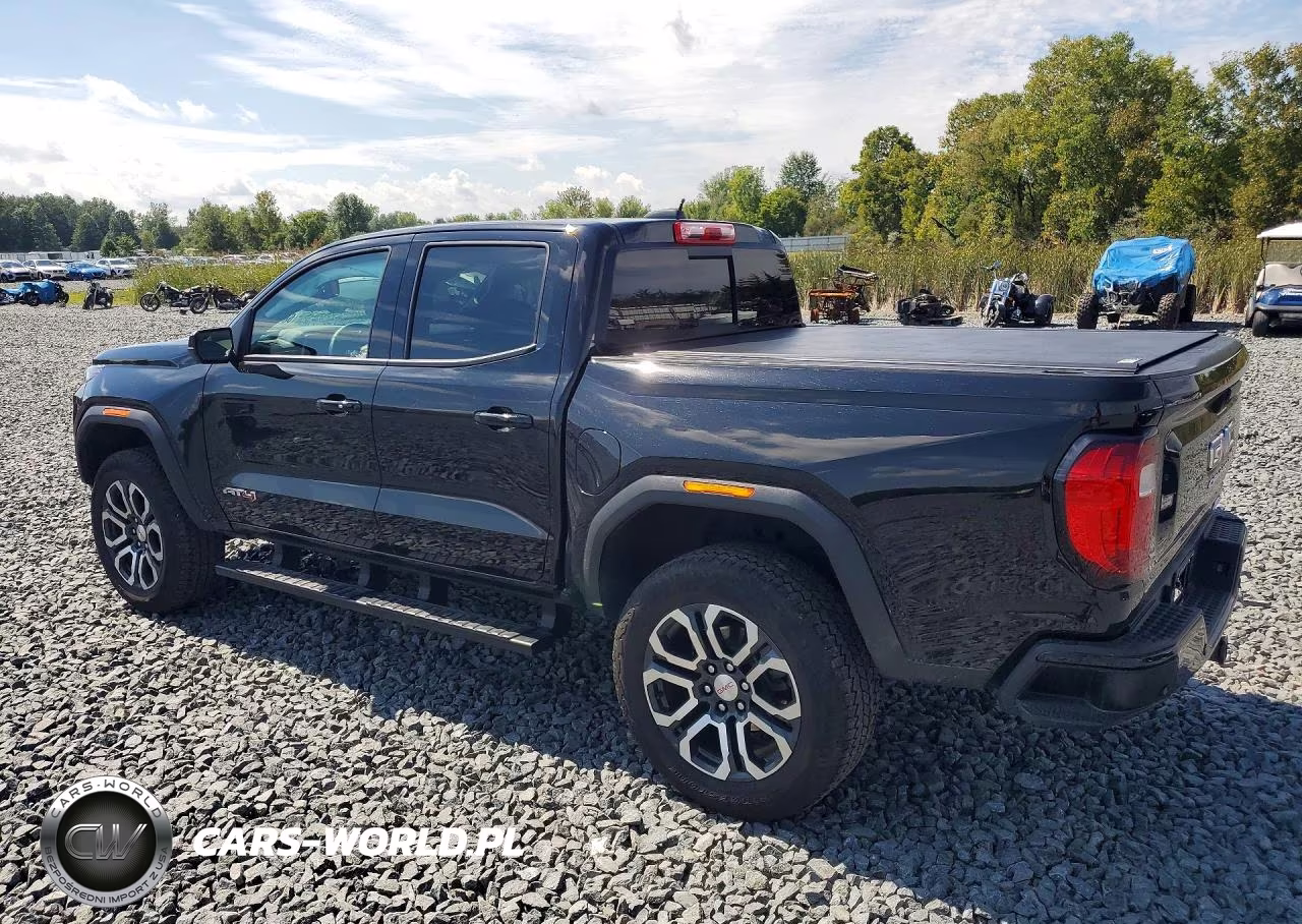 2024 GMC Canyon At4 VIN:1GTP6DEK2R1315274 - 2