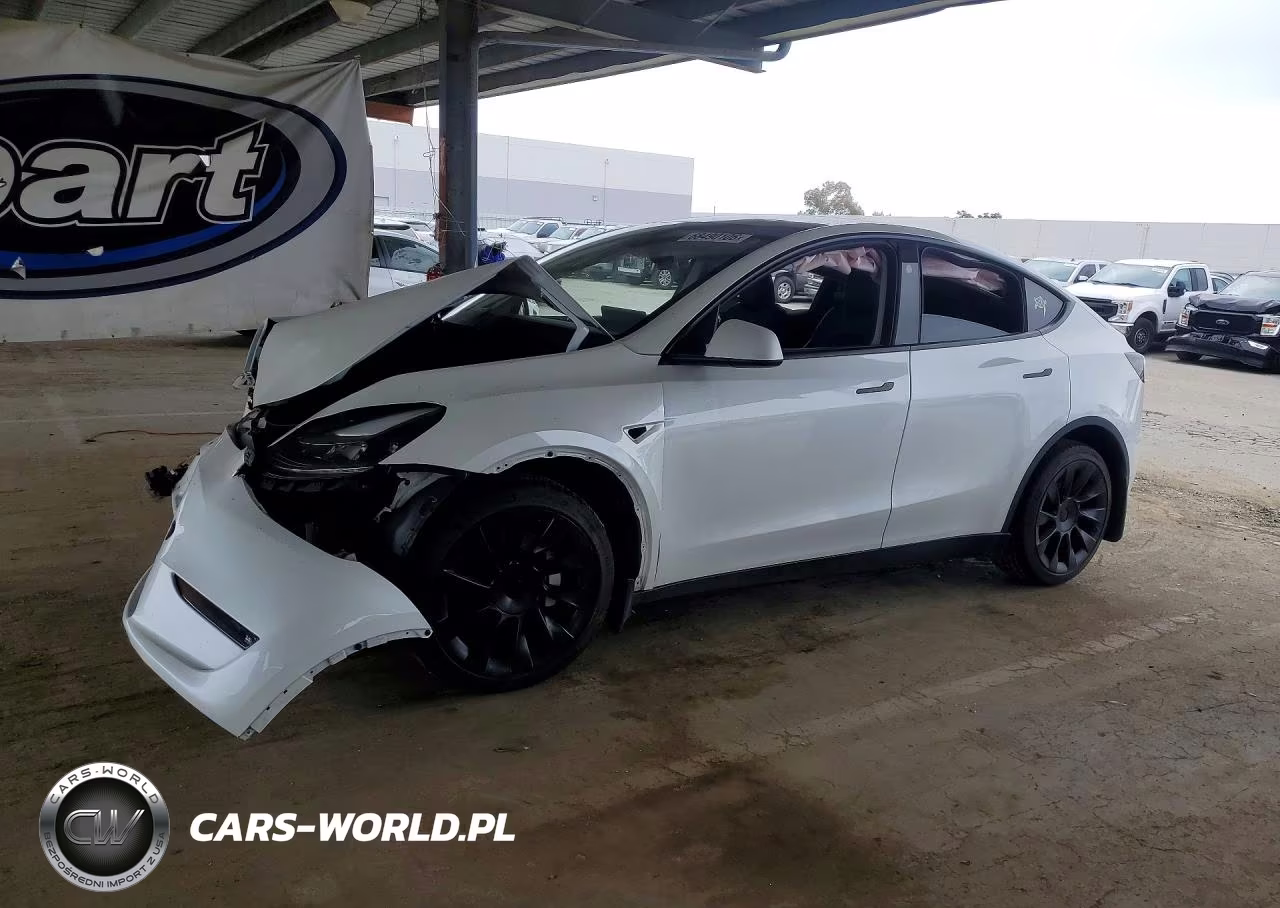 2023 Tesla Model Y VIN:7SAYGDEE7PF792429 - 1