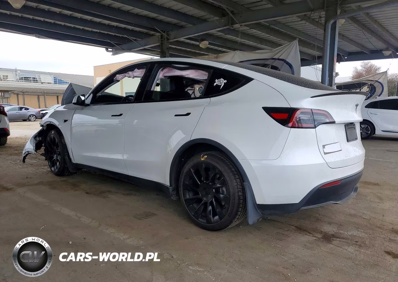 2023 Tesla Model Y VIN:7SAYGDEE7PF792429 - 2