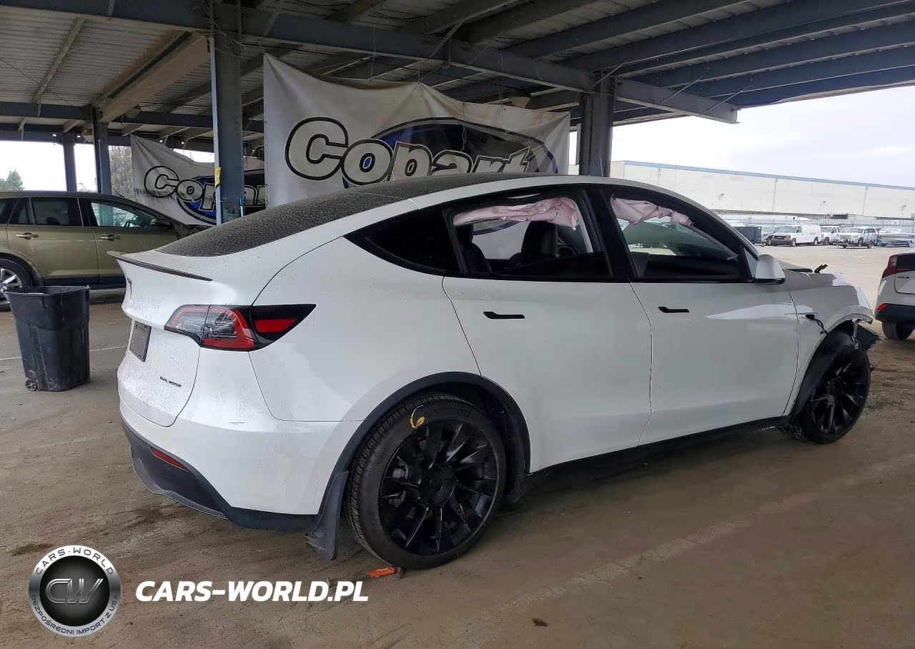 2023 Tesla Model Y VIN:7SAYGDEE7PF792429 - 3
