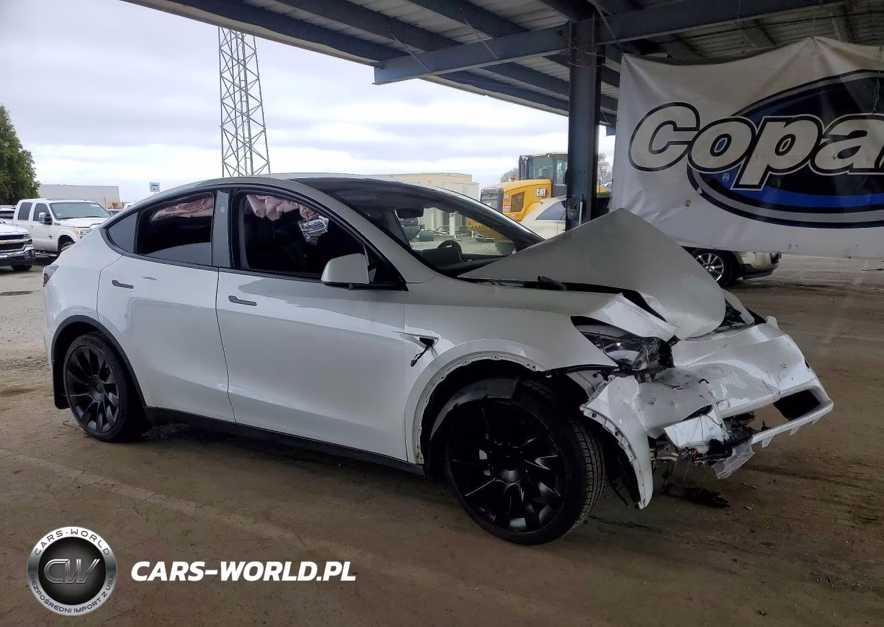 2023 Tesla Model Y VIN:7SAYGDEE7PF792429 - 4