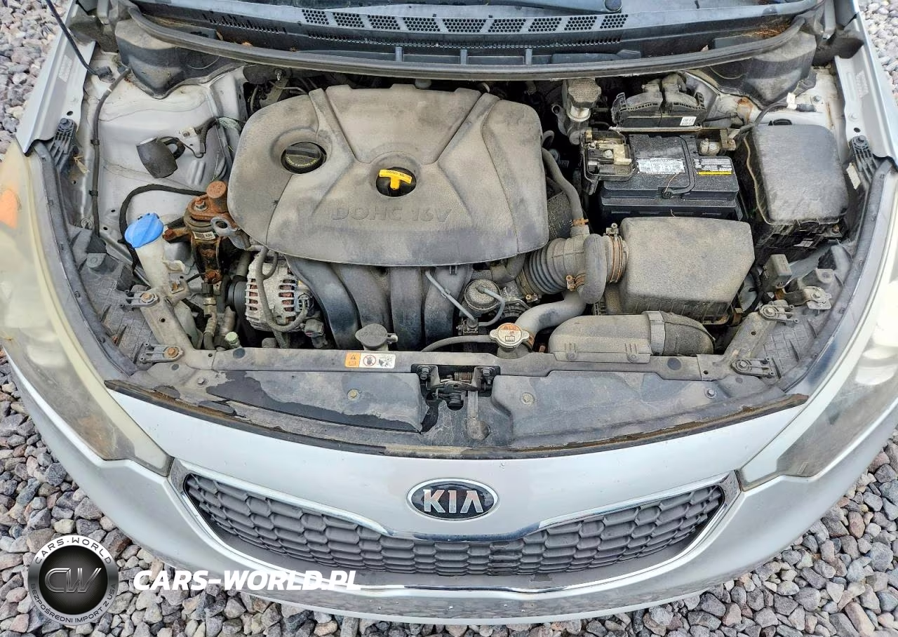 2015 Kia Forte Lx VIN:KNAFK4A61F5370140 - 11
