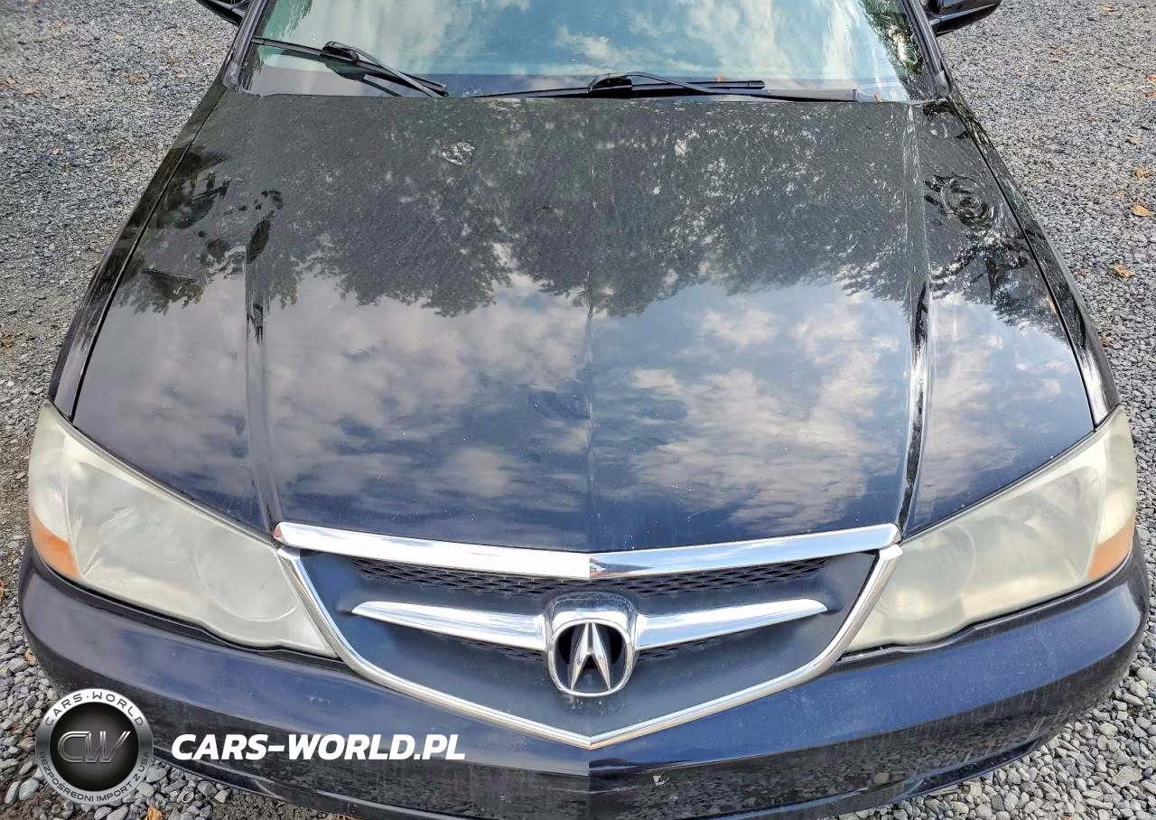 2002 Acura 3.2Tl Type-S VIN:19UUA56802A800014 - 11