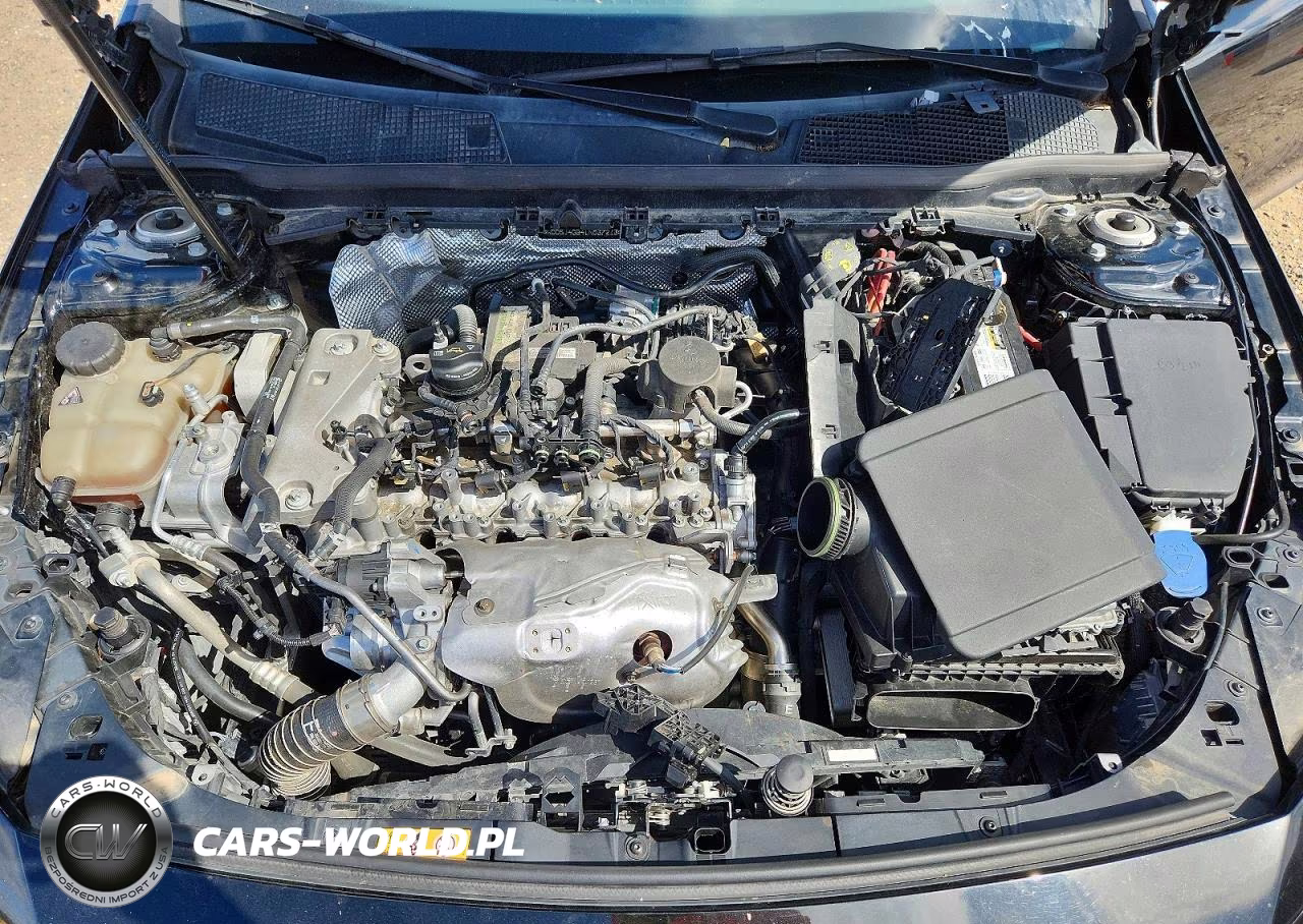2020 Mercedes-Benz Cla 250 VIN:WDD5J4GB4LN037213 - 11