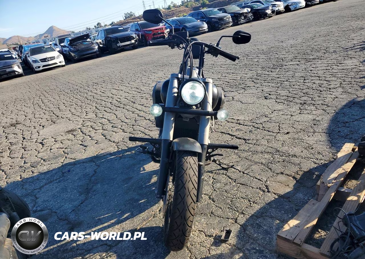 2013 Honda Vt750 C2B VIN:JH2RC5385DK300132 - 2