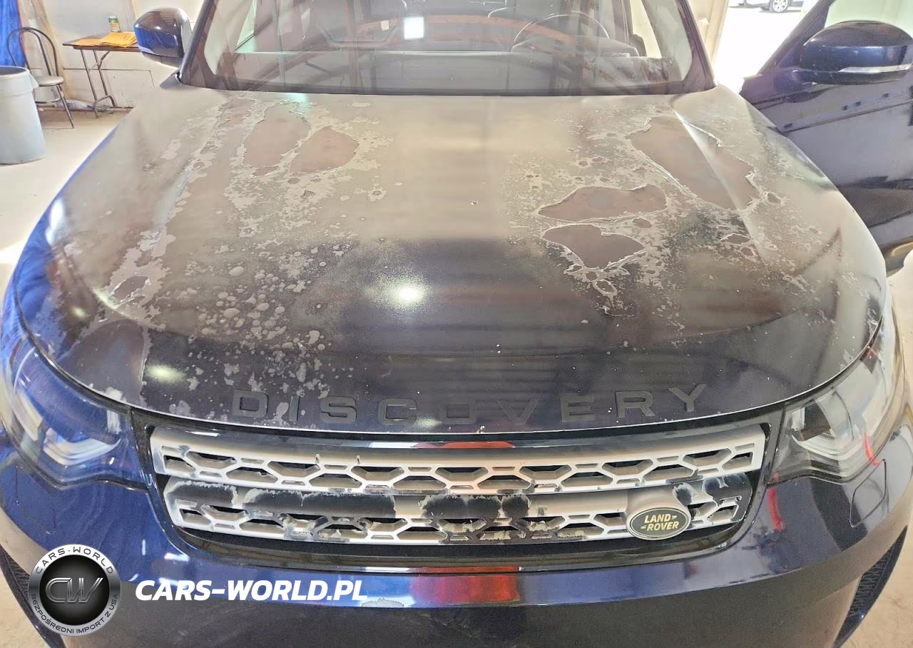 2019 Land Rover Discovery Se VIN:SALRG2RVXKA094228 - 12