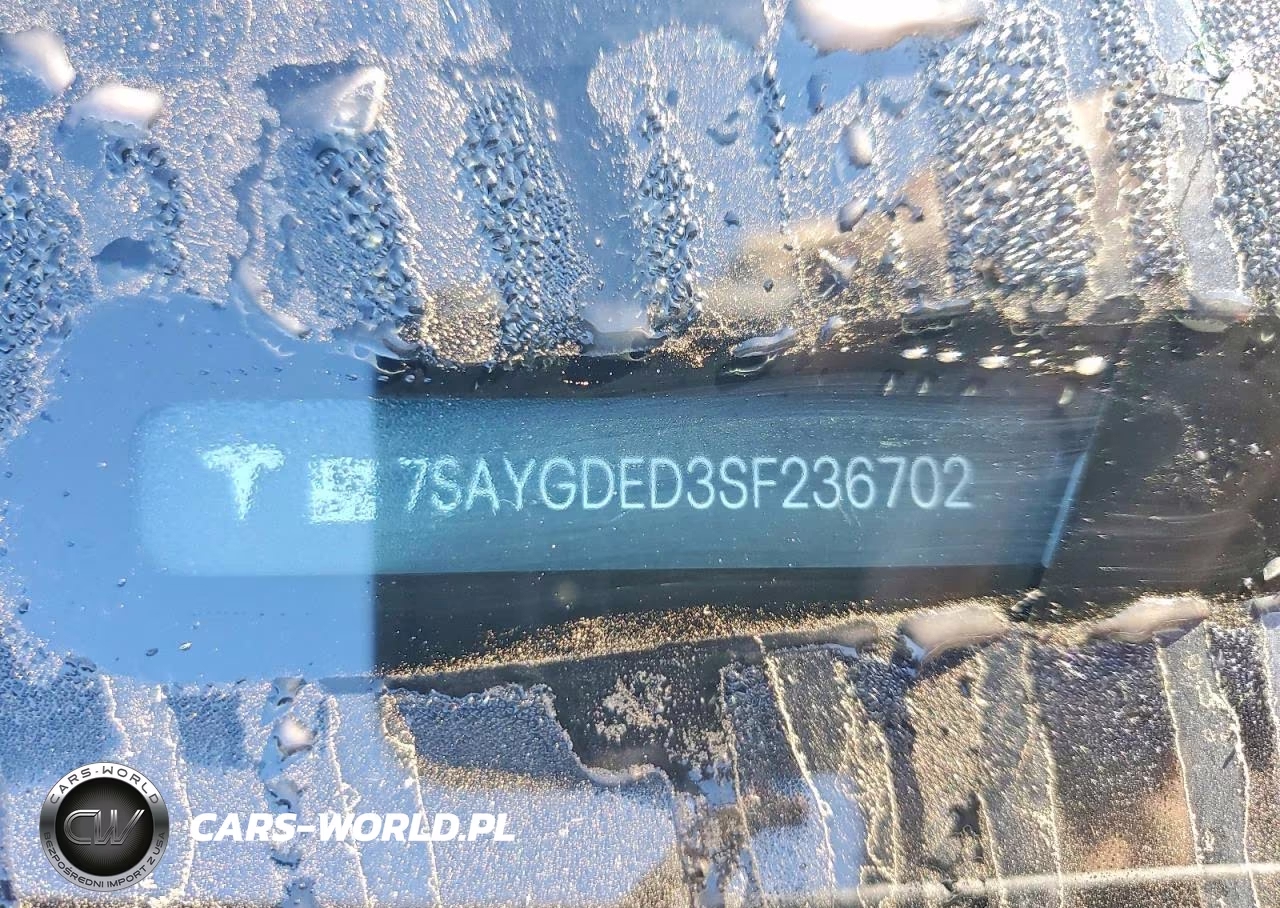 2025 Tesla Model Y VIN:7SAYGDED3SF236702 - 12