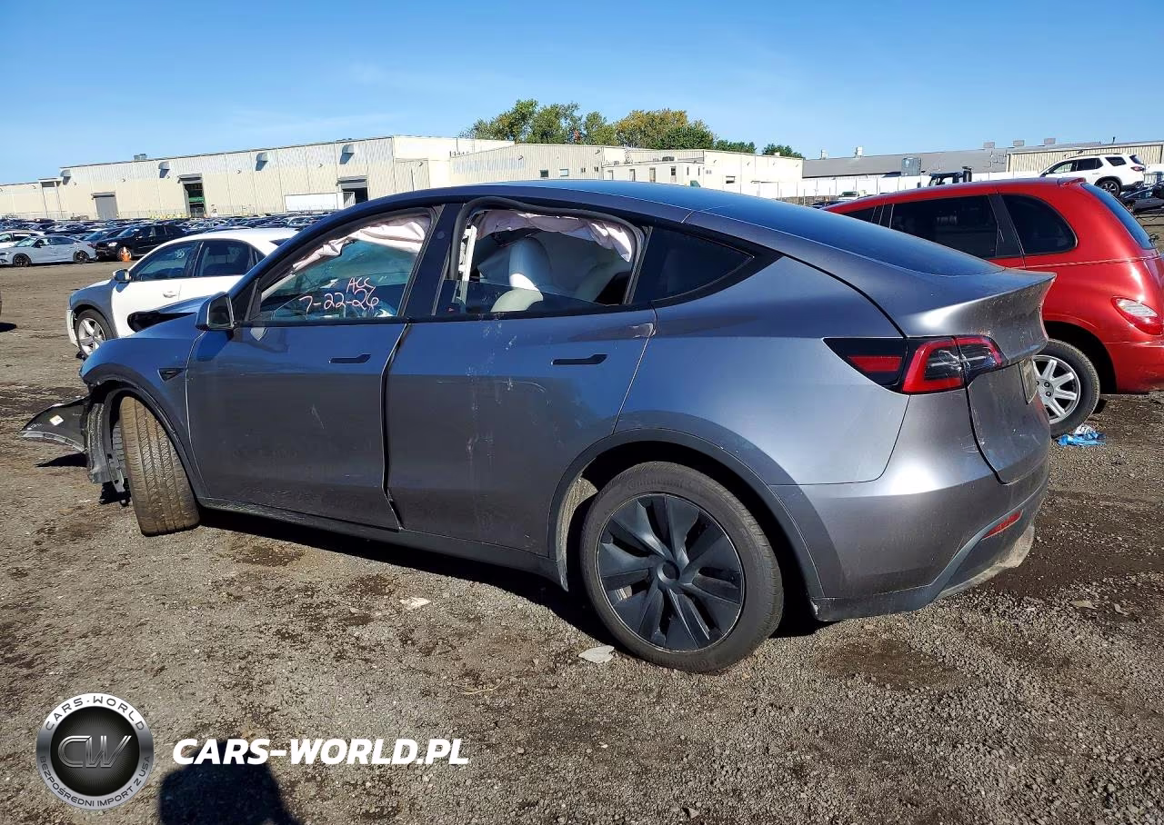 2025 Tesla Model Y VIN:7SAYGDED3SF236702 - 2