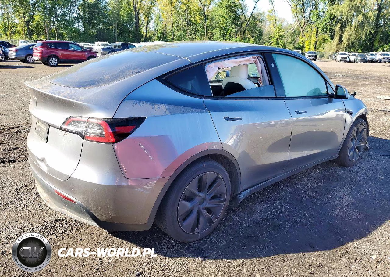 2025 Tesla Model Y VIN:7SAYGDED3SF236702 - 3
