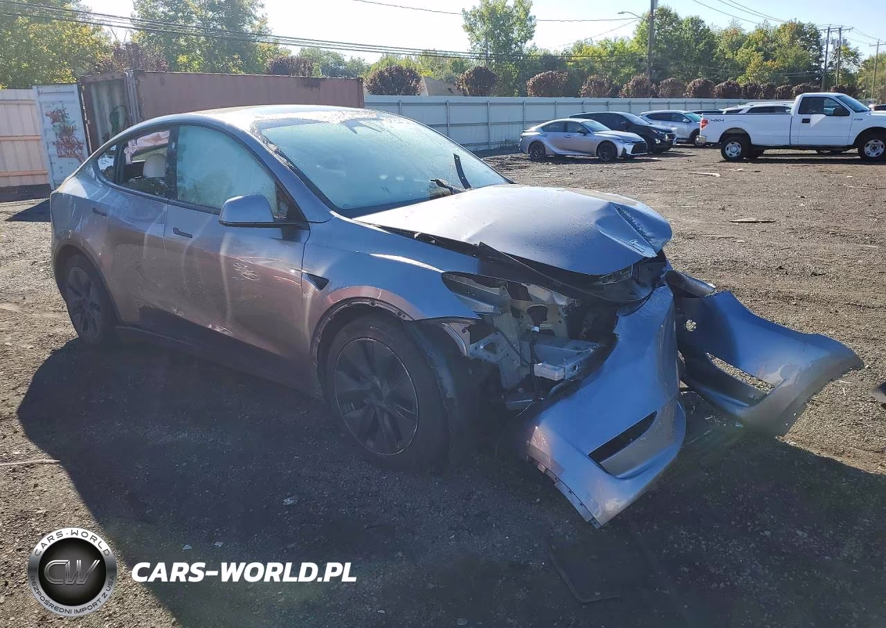 2025 Tesla Model Y VIN:7SAYGDED3SF236702 - 4