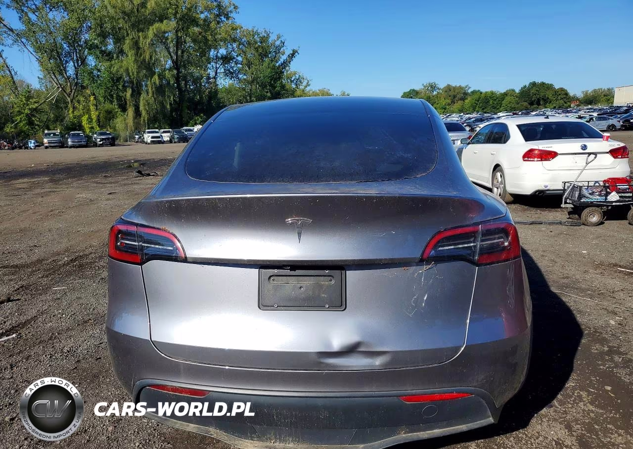 2025 Tesla Model Y VIN:7SAYGDED3SF236702 - 6