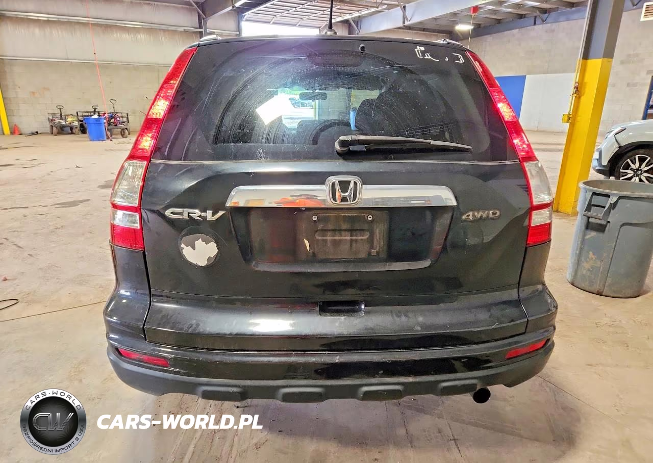 2010 Honda Cr-V Exl VIN:5J6RE4H74AL009568 - 6